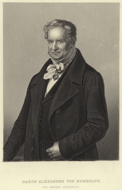 Alexander von Humboldt by German School