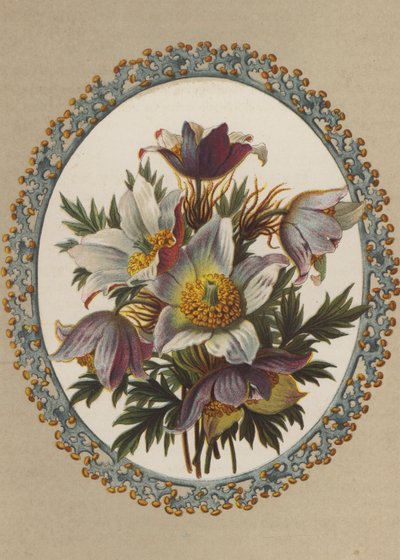 Anemones by German School
