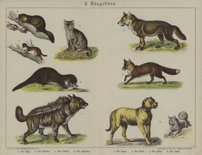 Animals by German School