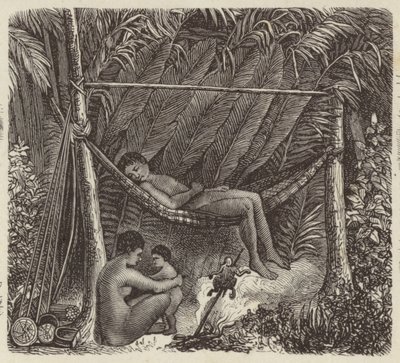 Brazilian native resting in a hammock (engraving) by German School