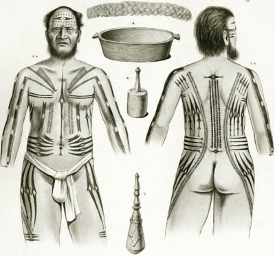 Diagram showing various Polynesian artifacts and tattoo designs, 1888 by German School