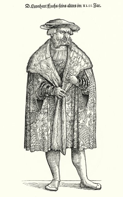 Dr. Leonhart Fuchs, German Physician, Botanist and Professor at the University of Tübingen (engraving) by German School