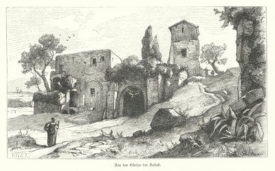 Gardens of Sallust, Rome by German School