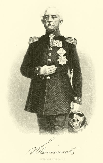 General von Steinmetz by German School