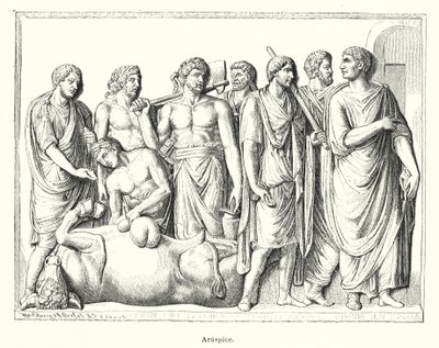 Haruspex, ancient Roman priest who examined the entrails of sacrificed animals to predict the future by German School