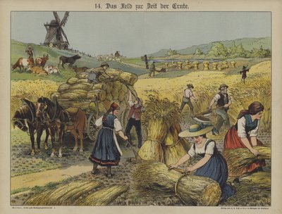 Harvest by German School
