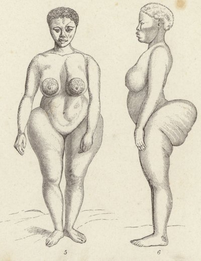 Hottentot Venus by German School