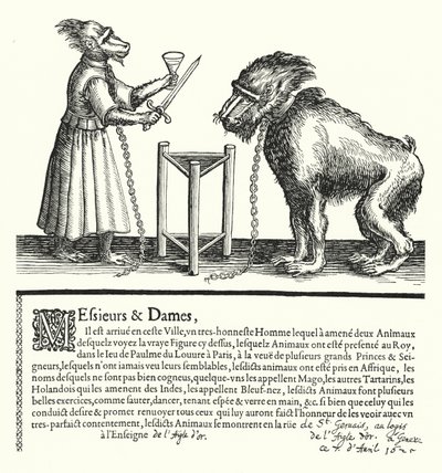 Invitation to an exhibition of apes and monkeys (engraving) by German School