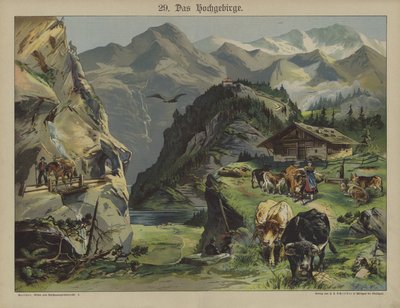Mountain life by German School