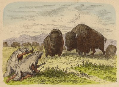 Native Americans Wearing Wolfskins Hunting Buffalo (Coloured Engraving) by German School