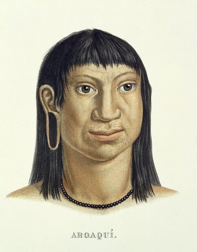 Native Man of the Aroaqui Tribe, from Atlas of a Journey in Brazil by Johann Baptist von Spix and Karl Friedrich Philipp Martius, published c.1835-50 by German School