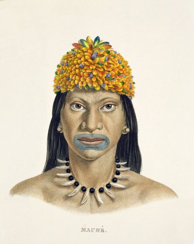 Native Man of the Mauhe Tribe, with Headdress of Small Blue and Orange Feathers, from Atlas of a Journey in Brazil by Johann Baptist von Spix and Karl Friedrich Philipp Martius by German School