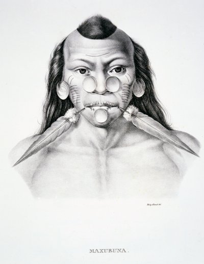 Native man of the Maxuruna tribe, with face decoration, from Atlas of a Journey in Brazil by Dr von Spix and Dr von Martius by German School