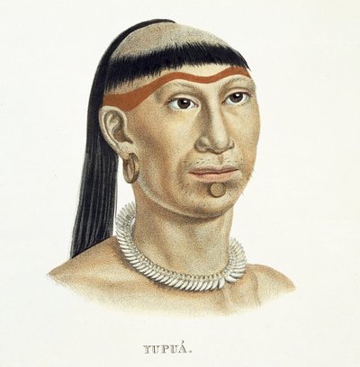 Native Man of the Yupua Tribe, with Plucked and Shaved Hair and a Necklace Made of Animal Teeth, from Atlas of a Journey in Brazil by Johann Baptist von Spix and Karl Friedrich Philipp Martius by German School