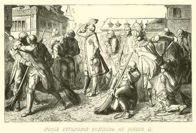 Noble Offenders Punished by Joseph II by German School
