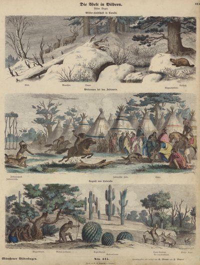 North America: Winter Landscape in Canada; Native Americans Racing; Colorado by German School