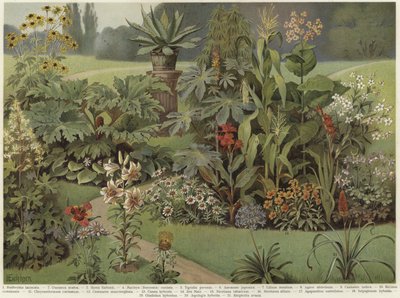 Ornamental plants by German School