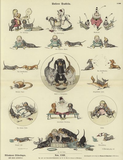 Our Dachshunds by German School