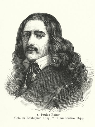 Paulus Potter, painter of the Dutch Golden Age by German School