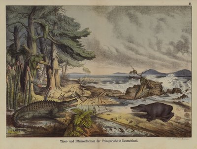 Plants and animals of the Triassic Period in Germany by German School