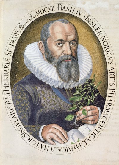 Portrait of Basil Besler in 1612, from the Hortus Eystettensis, pub. 1613 by German School