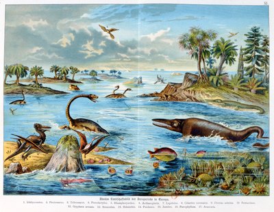 Prehistory - Jurassic - reconstruction of natural environment in Europe and some of the animals of this period, 1886 by German School