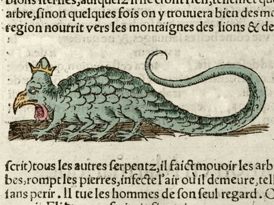 Representation of the mythological monster Basilisk. Xilography taken from the Universal Cosmography of Sebastien Munster, Bale by German School
