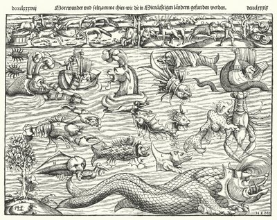 Sea Creatures (engraving) by German School