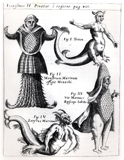 Sea monsters, illustration from Physica Curiosa by Gaspar Schott, published Wuerzburg 1662 by German School