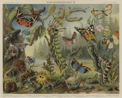 Self-defence mechanisms in insects by German School