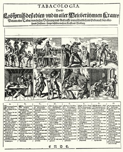 Tabacologia (engraving) by German School