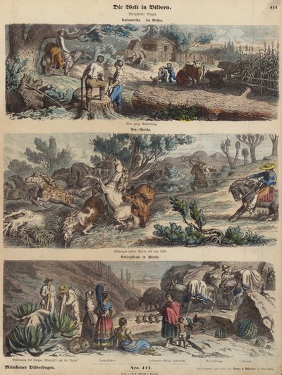 The American West: A New Settlement; Lassoing Wild Horses in New Mexico; A Mountain Road in Mexico (Coloured Engraving) by German School