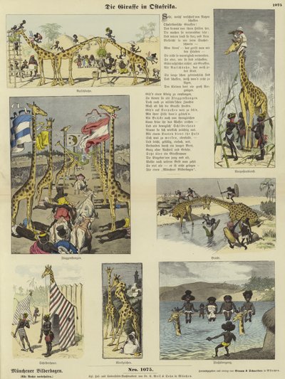 The Giraffe in East Africa by German School