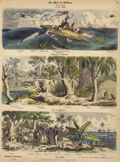 The Pacific: Shipwreck Survivors Adrift on a Raft in the South Seas; Forest in New Holland (Australia); a Pacific Island by German School
