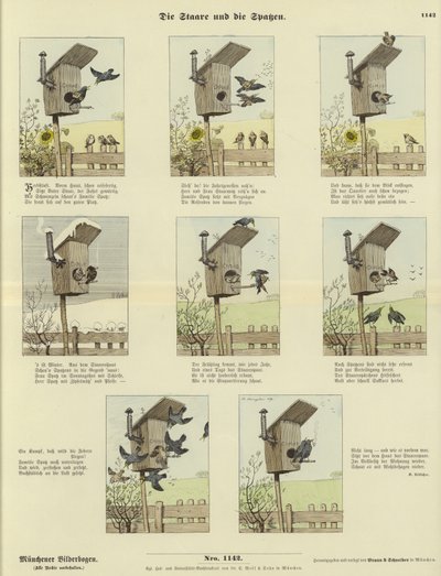 The Starlings and the Sparrows by German School