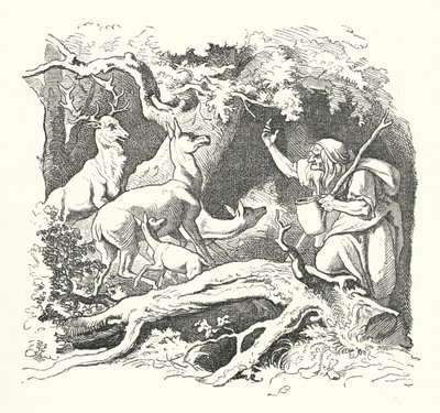 The Witch and the King