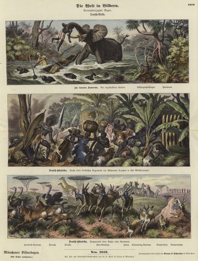 The World in Pictures: German Africa by German School