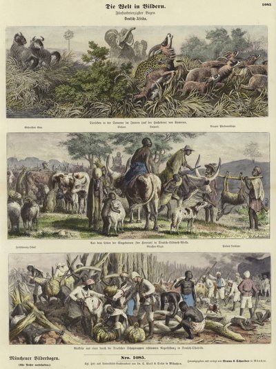 The World in Pictures: German Africa by German School
