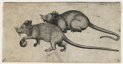 Two Mice, 1450-80 by German School