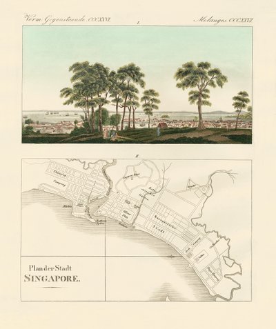 View and map of the East Indian establishment Singapore by German School