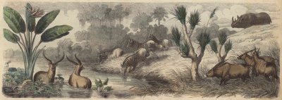 Watering Hole in South Africa by German School