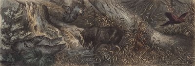Wildlife of northern Russia by German School