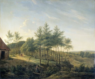 Hilly Landscape by Gerrit Jan Michaelis