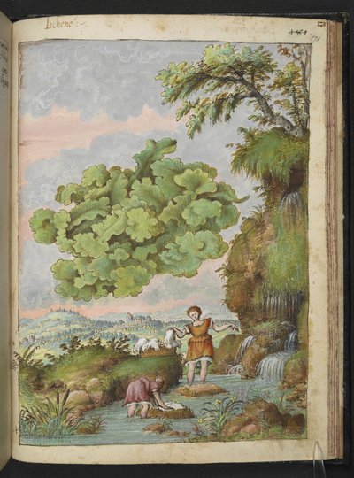 Lichen and two women washing clothing or fur in a pool, from 