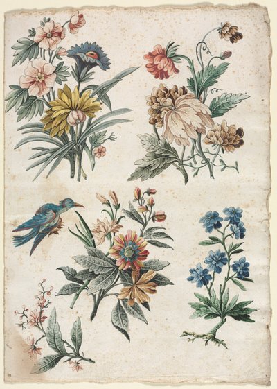 Floral Designs with a Blue Bird, c. 1773-74 by Giacomo Cavenezia