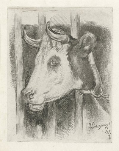 Head of a Cow by Gijsbertus Craeyvanger
