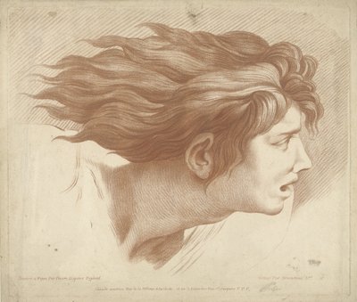 Head of Man with Flowing Hair by Gilles Demarteau