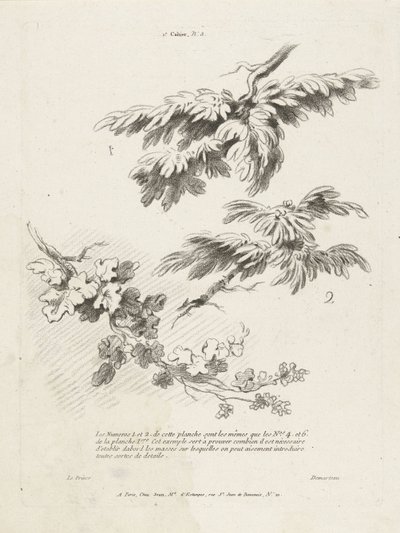 Study of Three Branches with Leaves (series title: 1st Landscape Book) by Gilles Demarteau