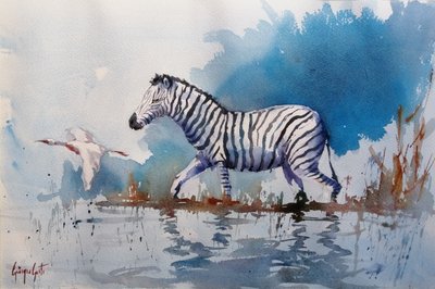African Zebra Wading by Giorgio Gosti