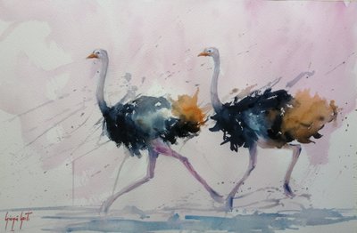 Graceful Ostrich Stride by Giorgio Gosti